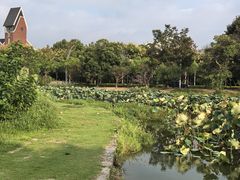 -美兰湖景区