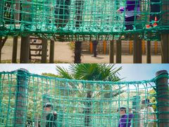 -上海共青森林公园