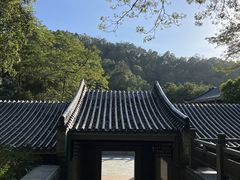 -水濂山森林公园