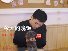 -猫猫幼稚园·撸猫·桌游·电玩