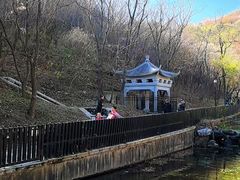 -白水寺森林公园