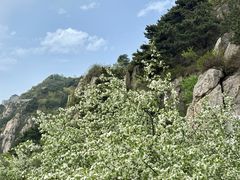 -华夏良子·足道SPA艾灸(龙潭路店)