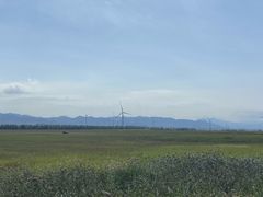 -野鸭湖国家湿地公园