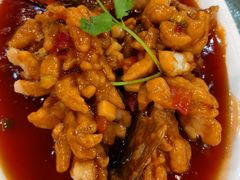 松子鲈鱼-七叔家宴家常广西菜(明秀东路店)