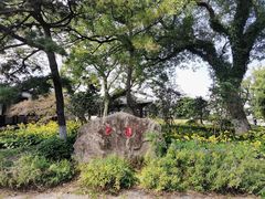 -江心屿景区