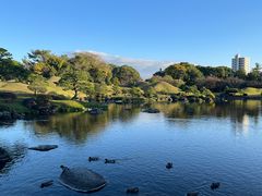 -水前寺成趣园