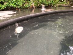 -福州贵安·温泉世界