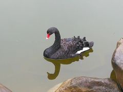 -两江国际影视城