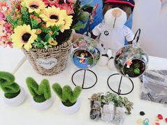 -南充通源宝马4S店(高坪店)