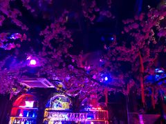 -周庄红庭演艺酒吧