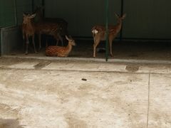 -御汤山生态园