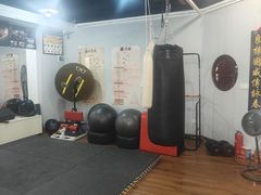 -温鉴良实用咏春拳