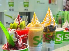 -Salud撒露欧洲冻酸奶(五道口购物中心店)