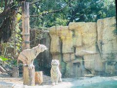 -广州长隆野生动物世界