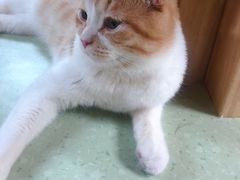-猫和宫(六道口店)