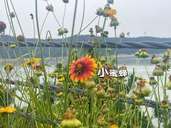 -宁波松兰山滨海旅游度假区