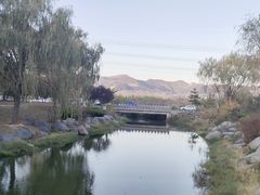 -羊亭河湿地公园