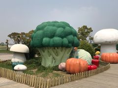 -上海都市菜园