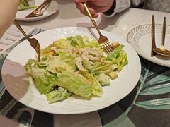 -MIO弥欧洋房西餐厅(中央大街店)