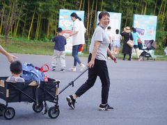 -黄海国家森林公园