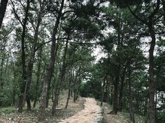 -鹫峰国家森林公园