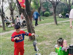 -洨河生态公园