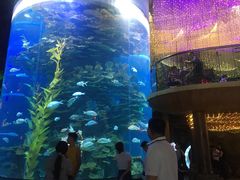 -泉城欧乐堡海洋极地世界