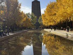 -玲珑塔公园