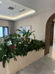 -LIHER北京丽合医疗美容医院