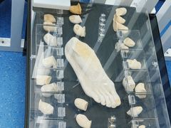 -Andrew指甲专科灰指甲·甲沟炎矫正·3D步态矫形鞋垫定制(上海法华镇路旗舰店)