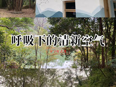 -佛山市三水区大南山森林公园