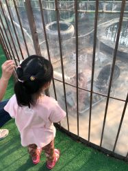 -萌宠亲子动物乐园(槐房万达店)