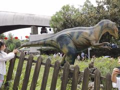 -自贡恐龙博物馆