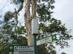 -南丫岛