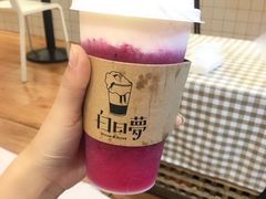 -白日梦奶茶