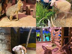 -正佳雨林生态植物园