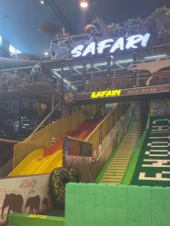 -卡通尼·Safari非洲探索乐园·生日会(金桥国际商业广场店)