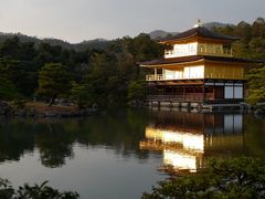 -豆政(金閣寺境内売店)