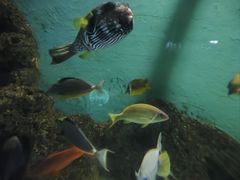 -苏州海洋馆