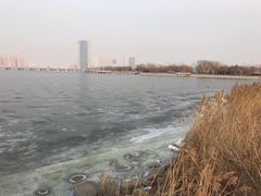 -天津金海湖