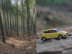 -上海佘山国家森林公园天马山园