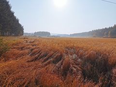 -塞罕坝国家级自然保护区