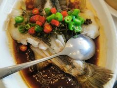 -湛江菜.江南首席(昆山店)
