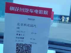 -枫花园汽车电影院(朝阳公园店)
