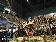 -自贡恐龙博物馆