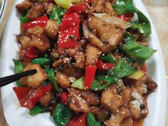 -煲来饱去冷水鱼