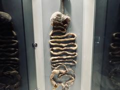 -生命奥秘博物馆