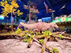 -南京银杏湖乐园