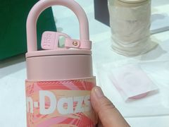 -哈根达斯(石家庄北国店)