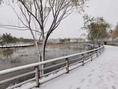 -绿堤公园
